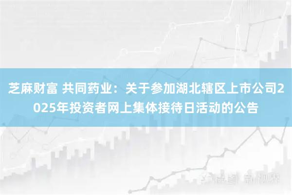 芝麻财富 共同药业：关于参加湖北辖区上市公司2025年投资者网上集体接待日活动的公告