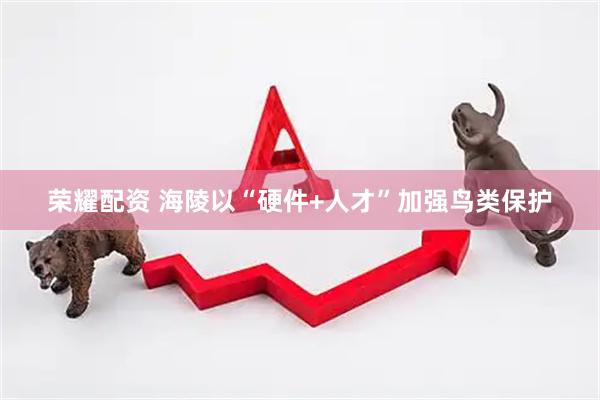 荣耀配资 海陵以“硬件+人才”加强鸟类保护