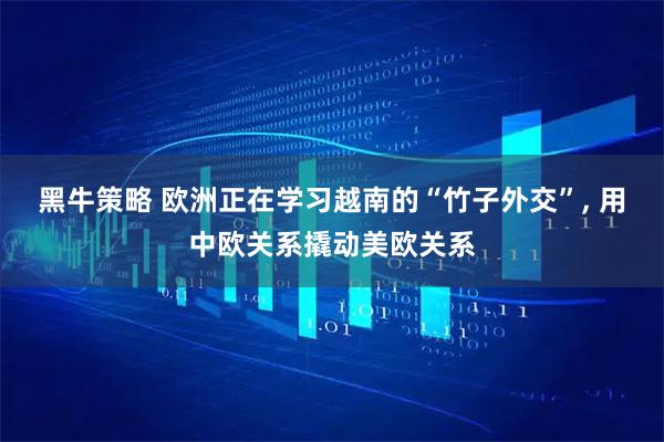 黑牛策略 欧洲正在学习越南的“竹子外交”, 用中欧关系撬动美欧关系