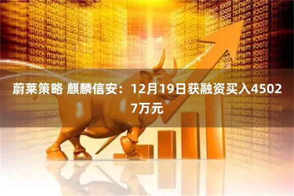 蔚莱策略 麒麟信安：12月19日获融资买入45027万元