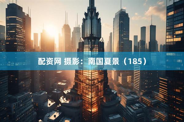 配资网 摄影：南国夏景（185）