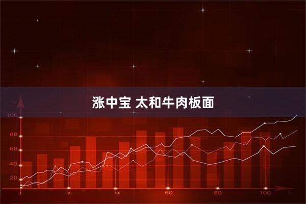 涨中宝 太和牛肉板面