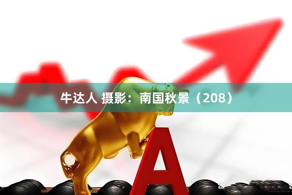 牛达人 摄影：南国秋景（208）