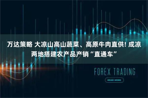 万达策略 大凉山高山蔬菜、高原牛肉直供! 成凉两地搭建农产品产销“直通车”